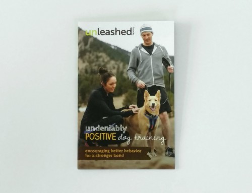 Dog Training Booklet