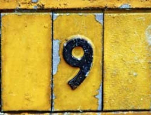 9 Basic Marketing Campaign Tips